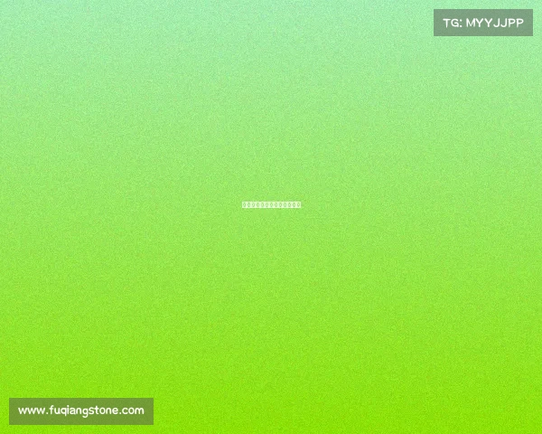 赛事技术代表会—赛事委员会